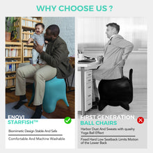 画像をギャラリービューアに読み込む, スターフィッシュクラシック